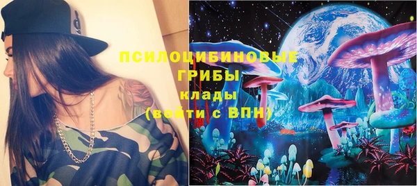 сатива Алзамай