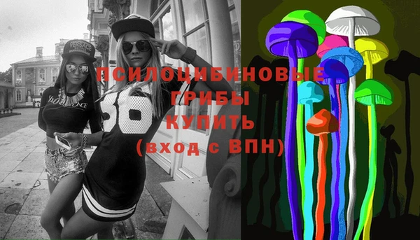 сатива Алзамай