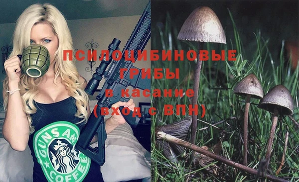 сатива Алзамай
