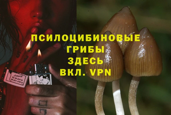 сатива Алзамай