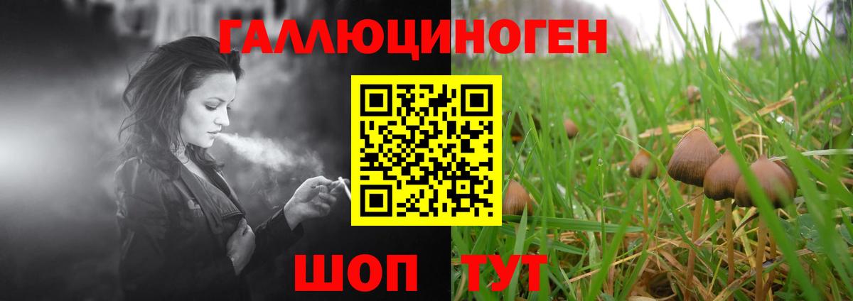 закладка  Вход с VPN  Псилоцибиновые грибы Magic Shrooms  Красноуфимск  Галлюциногенные грибы GOLDEN TEACHER 